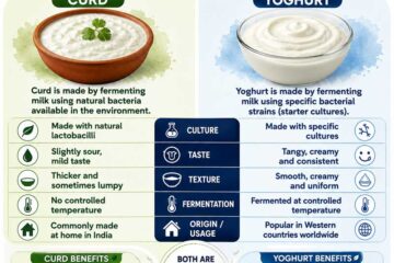 Difference Between Curd and Yoghurt