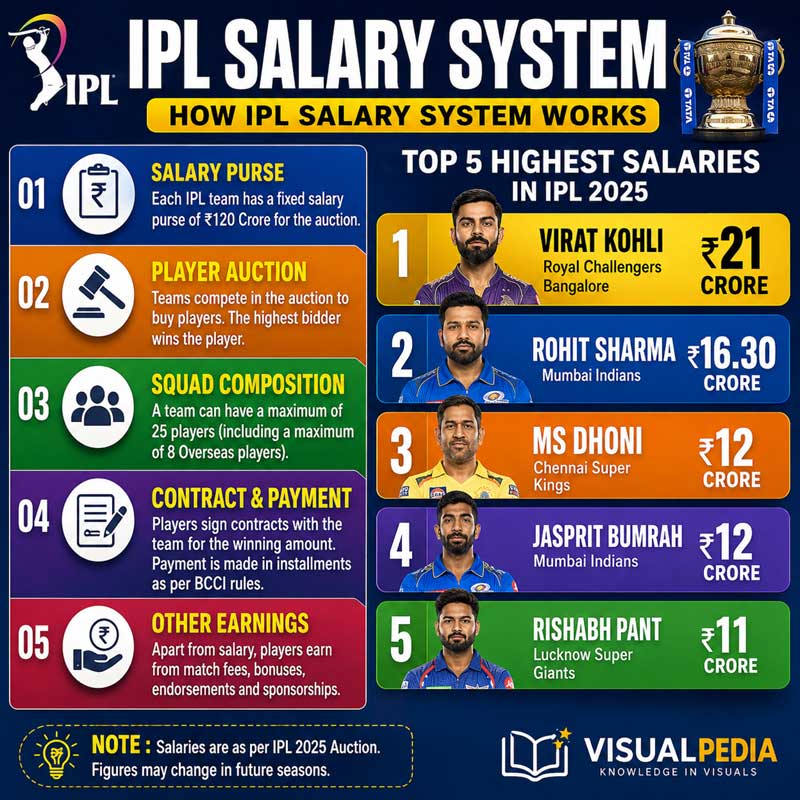 How IPL Salary System Works