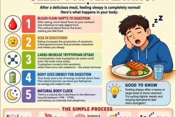 Why do we feel sleepy after eating