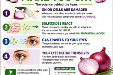 Why Oonion Makes you cry Image