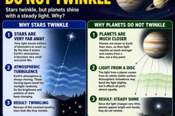 Why do planets do not twinkle for class 8 and class 10